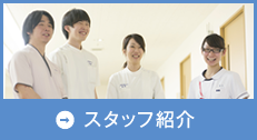 スタッフ紹介